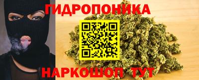 Альфа ПВП Будённовск