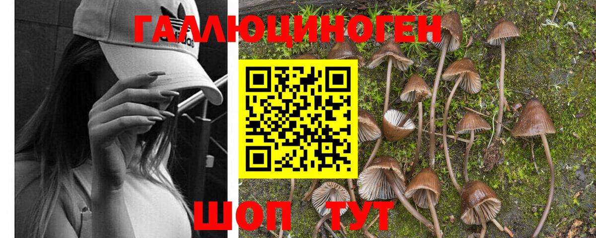 Таганрог  Псилоцибиновые грибы прущие грибы  купить наркоту  Вход с VPN 